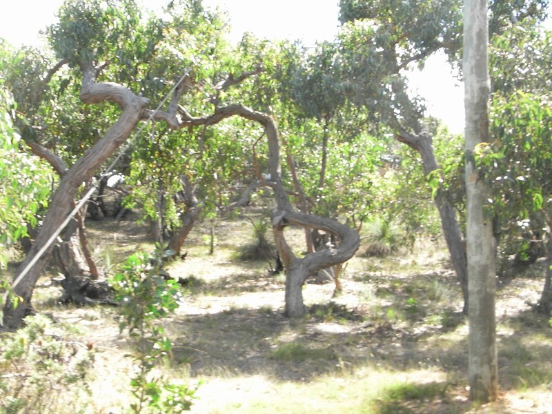 39 and 41 Second Avenue, Anglesea VIC 3230