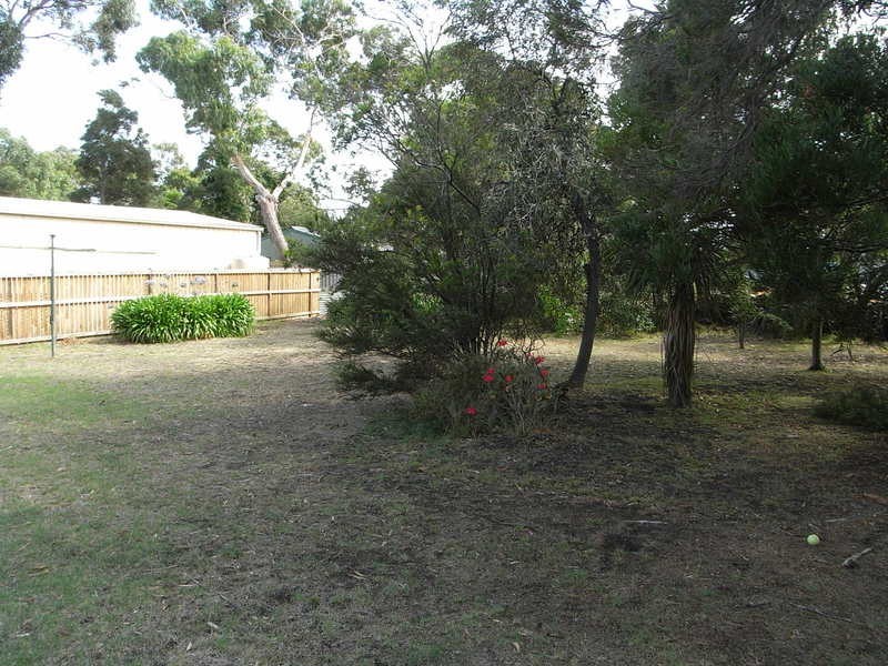 7 Elizabeth Street, Anglesea VIC 3230