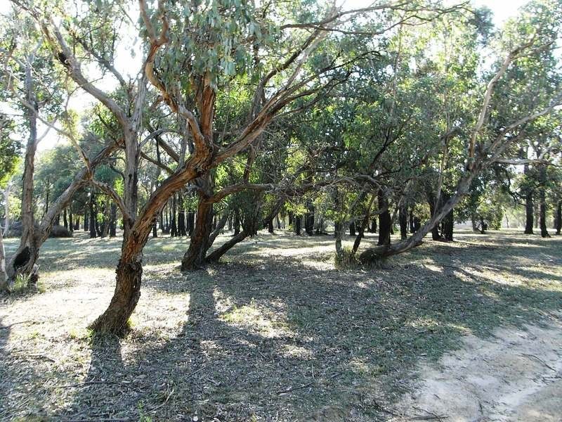 3 Gilbert St Street, Aireys Inlet VIC 3231
