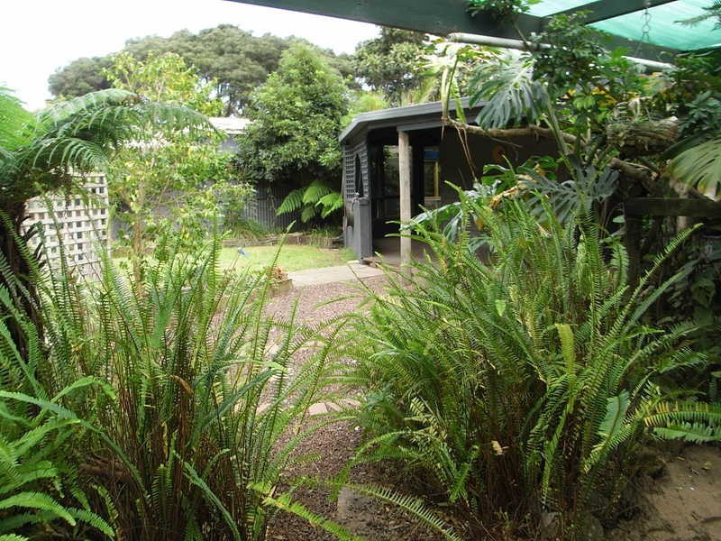 12 Cameron Road, Anglesea VIC 3230