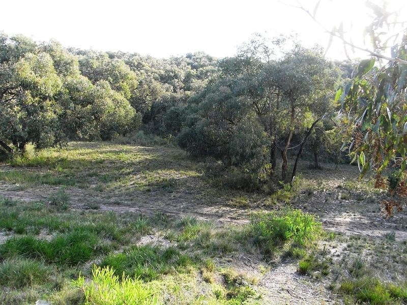 74 McMahon Avenue, Anglesea VIC 3230