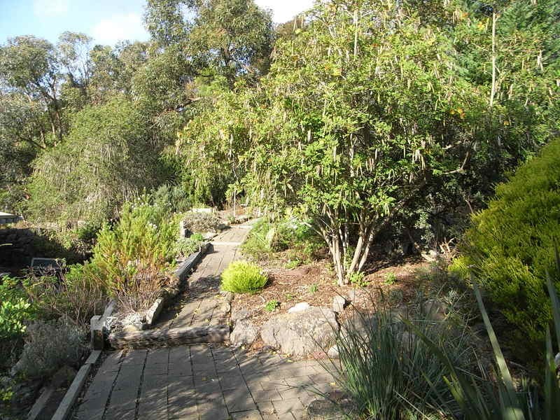 74 McMahon Avenue, Anglesea VIC 3230