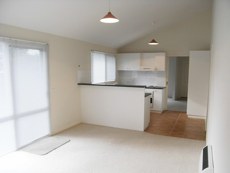 53a Murray Street, Anglesea VIC 3230