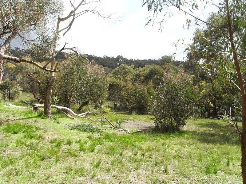 12 Bachli Court, Anglesea VIC 3230