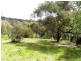 12 Bachli Court, Anglesea VIC 3230