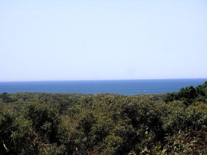 50 Jackson Street, Anglesea VIC 3230