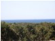 50 Jackson Street, Anglesea VIC 3230