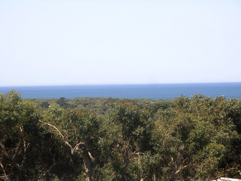 50 Jackson Street, Anglesea VIC 3230
