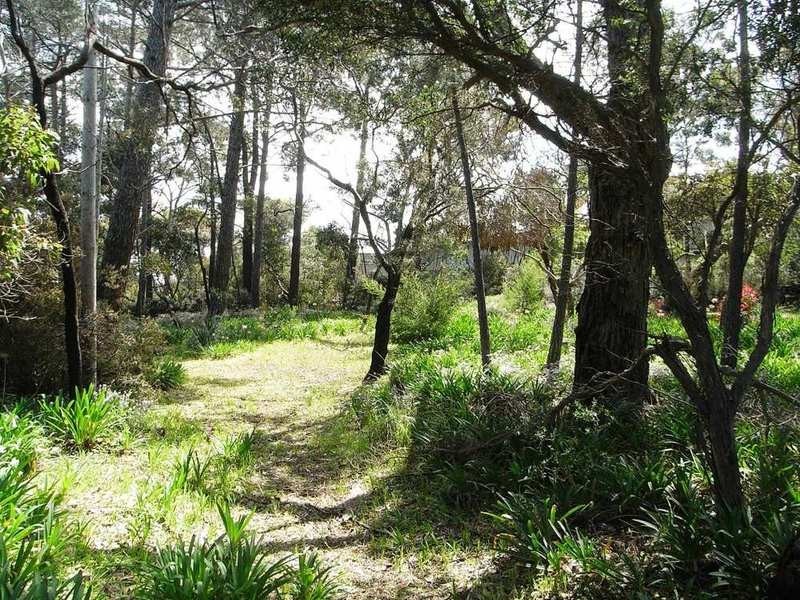 8-10 Camp Road, Anglesea VIC 3230