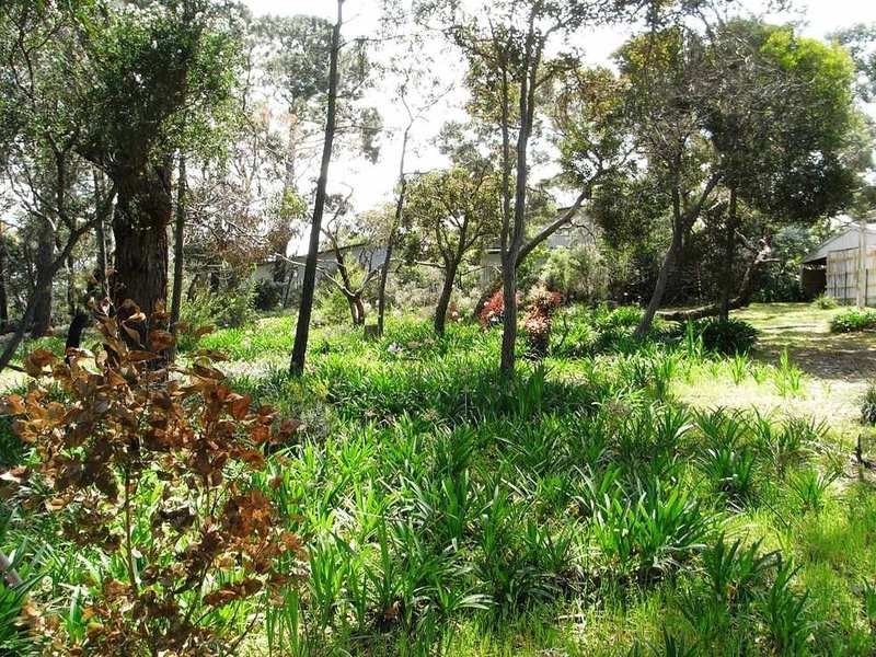 8-10 Camp Road, Anglesea VIC 3230