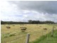 400 Wormbete Station Road, Wensleydale VIC 3241