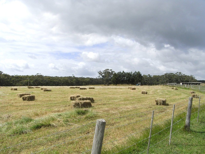 400 Wormbete Station Road, Wensleydale VIC 3241