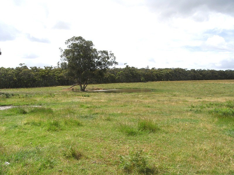 400 Wormbete Station Road, Wensleydale VIC 3241