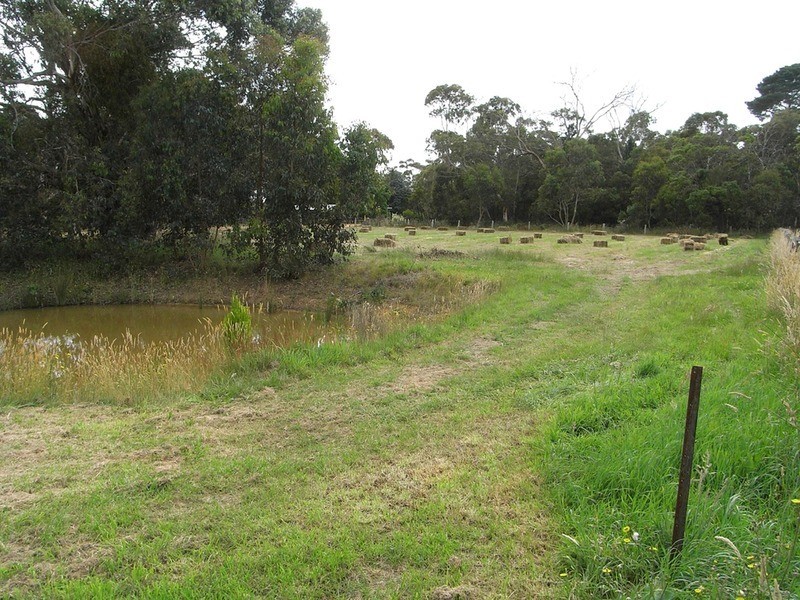 400 Wormbete Station Road, Wensleydale VIC 3241