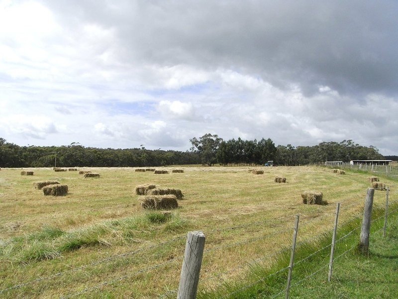 400 Wormbete Station Road, Gherang VIC 3240