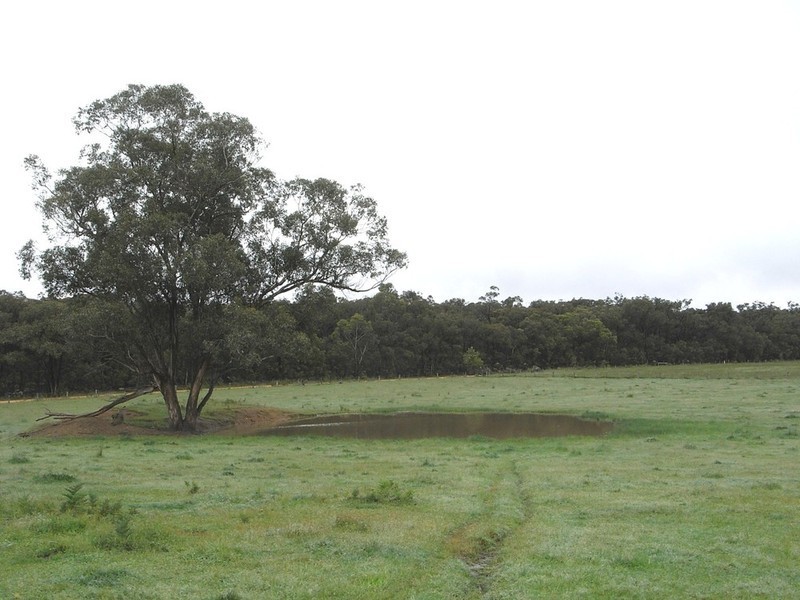 400 Wormbete Station Road, Gherang VIC 3240