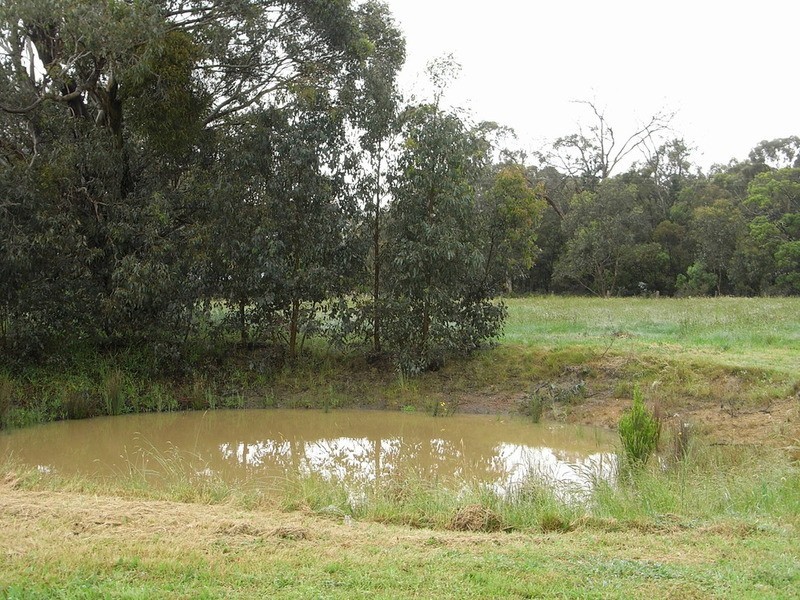 400 Wormbete Station Road, Gherang VIC 3240