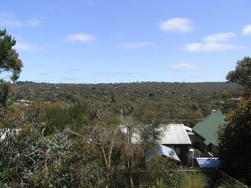 16 Hillcrest Road, Anglesea VIC 3230