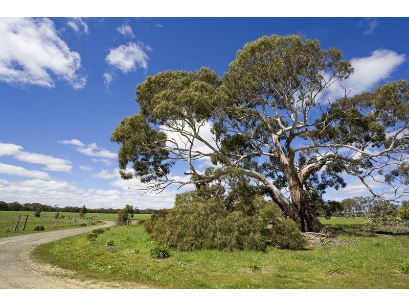495 Dangers Road, Gherang VIC 3240