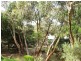 23 Belton Street, Anglesea VIC 3230