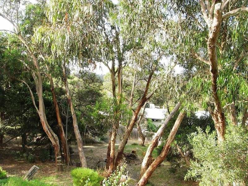 23 Belton Street, Anglesea VIC 3230