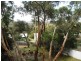 23 Belton Street, Anglesea VIC 3230
