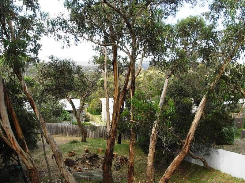 23 Belton Street, Anglesea VIC 3230