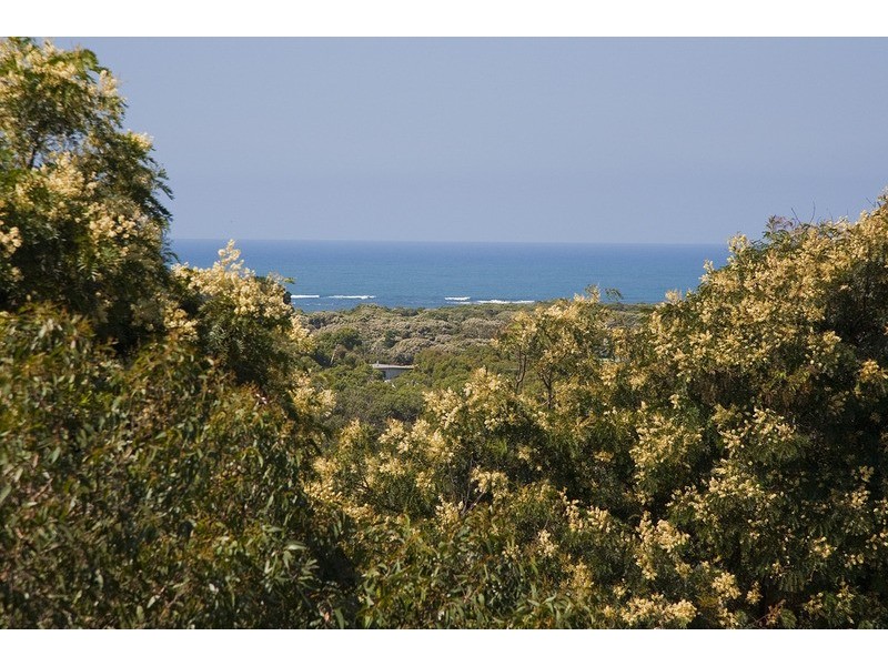 43 Great Ocean Road, Anglesea VIC 3230