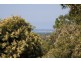 43 Great Ocean Road, Anglesea VIC 3230