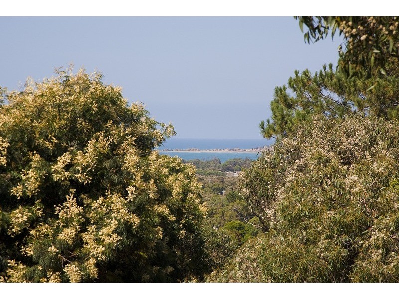 43 Great Ocean Road, Anglesea VIC 3230