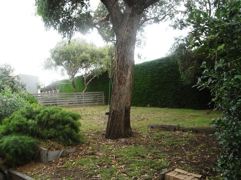 13 Wallis Street, Anglesea VIC 3230