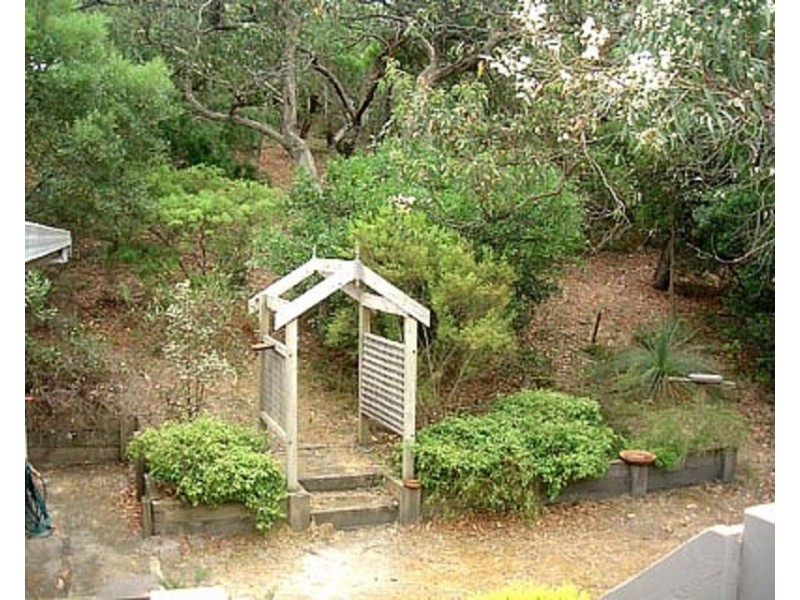 16 Niblick Street, Anglesea VIC 3230