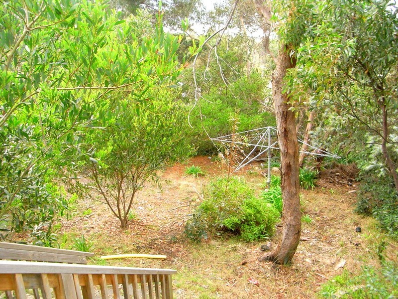 33 McMahon Avenue, Anglesea VIC 3230