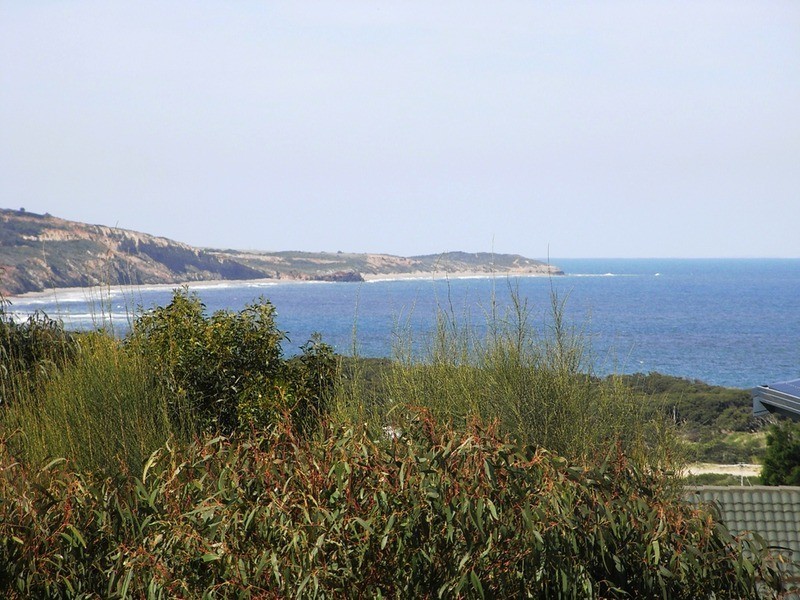 13 Wallis Street, Anglesea VIC 3230