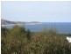 13 Wallis Street, Anglesea VIC 3230