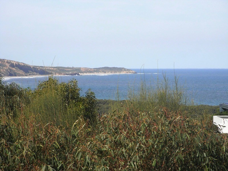13 Wallis Street, Anglesea VIC 3230