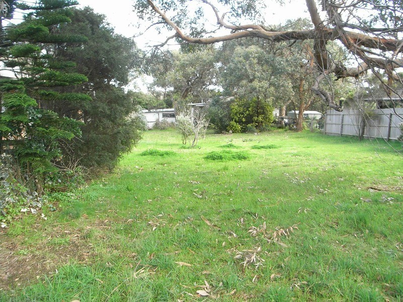 5 Donald Ave Avenue, Anglesea VIC 3230