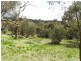 12 Bachli Court, Anglesea VIC 3230