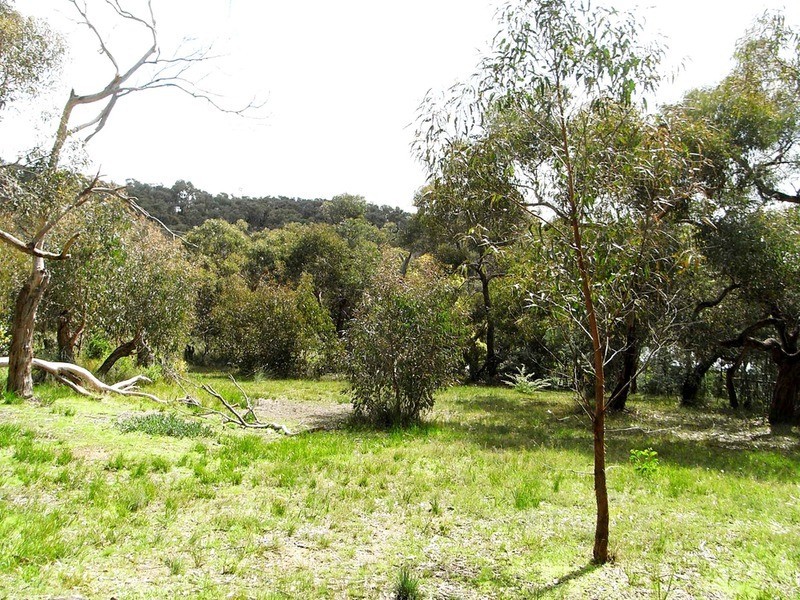12 Bachli Court, Anglesea VIC 3230