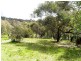 12 Bachli Court, Anglesea VIC 3230