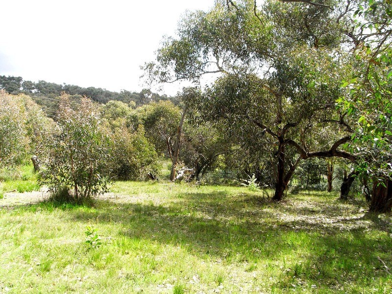 12 Bachli Court, Anglesea VIC 3230