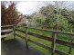 51 Noble Street, Anglesea VIC 3230