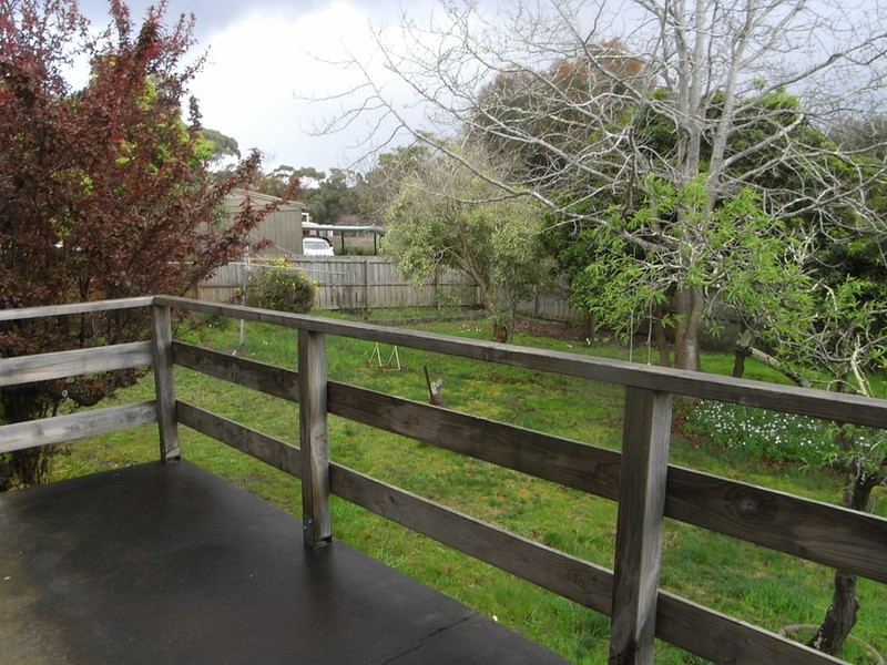 51 Noble Street, Anglesea VIC 3230