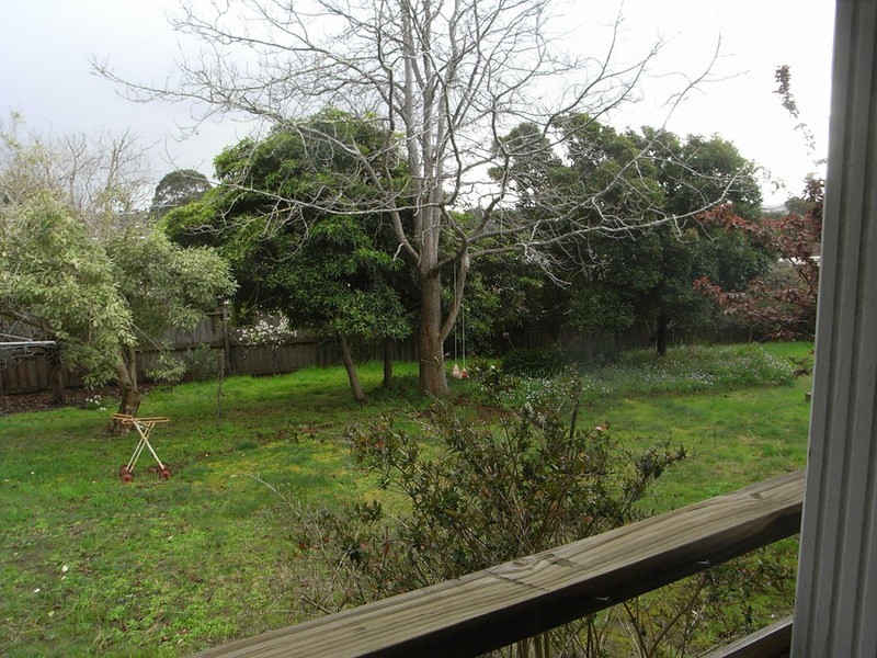 51 Noble Street, Anglesea VIC 3230