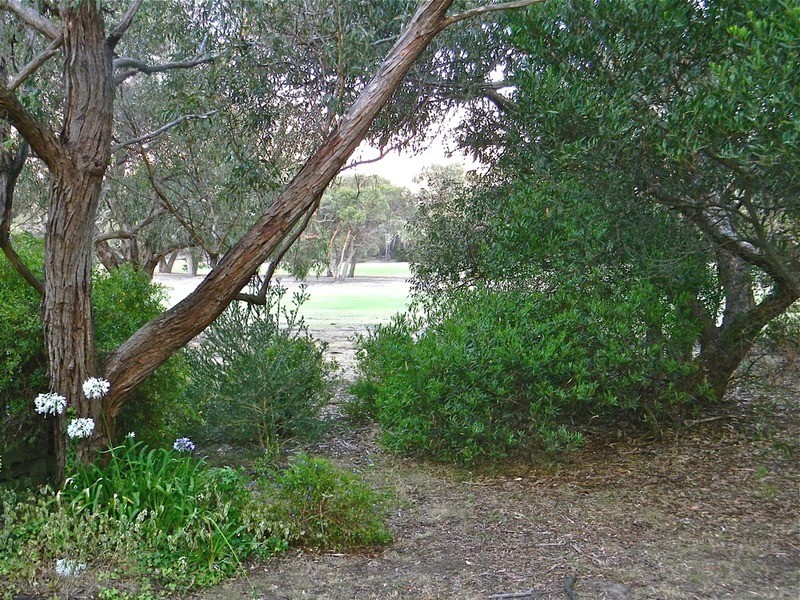 22 Fairway Drive, Anglesea VIC 3230