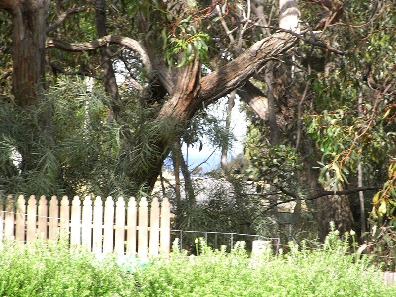 38 Harvey Street, Anglesea VIC 3230