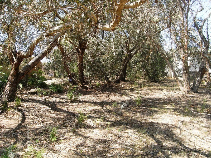 13 Birkdale  Close, Anglesea VIC 3230