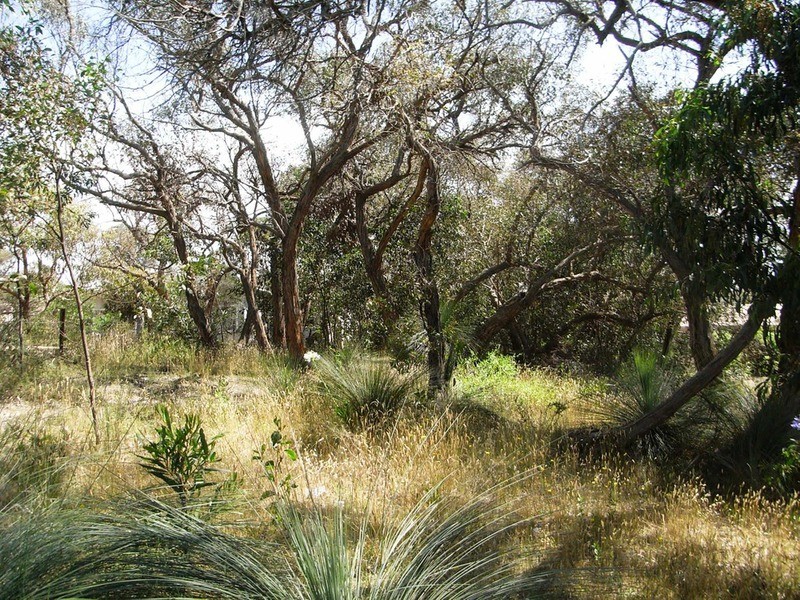 13 Birkdale  Close, Anglesea VIC 3230