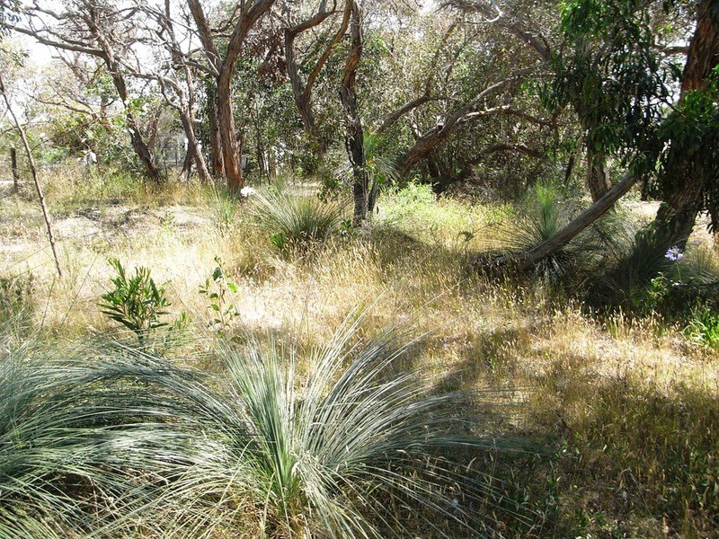 13 Birkdale  Close, Anglesea VIC 3230