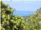 43 Great Ocean Road, Anglesea VIC 3230